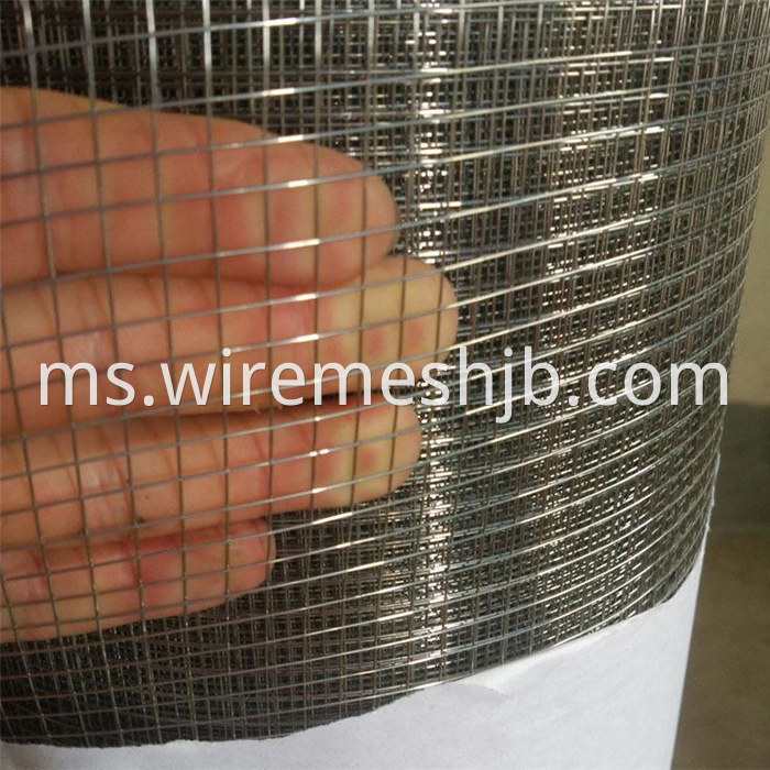 Galvanized Wire Mesh